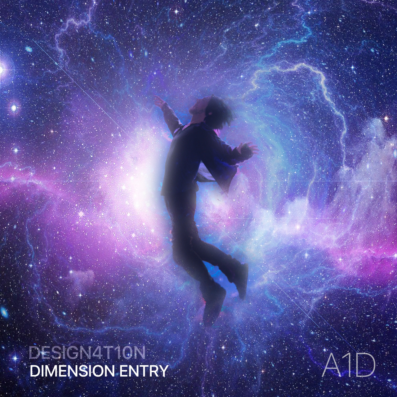 Dimension Entry
