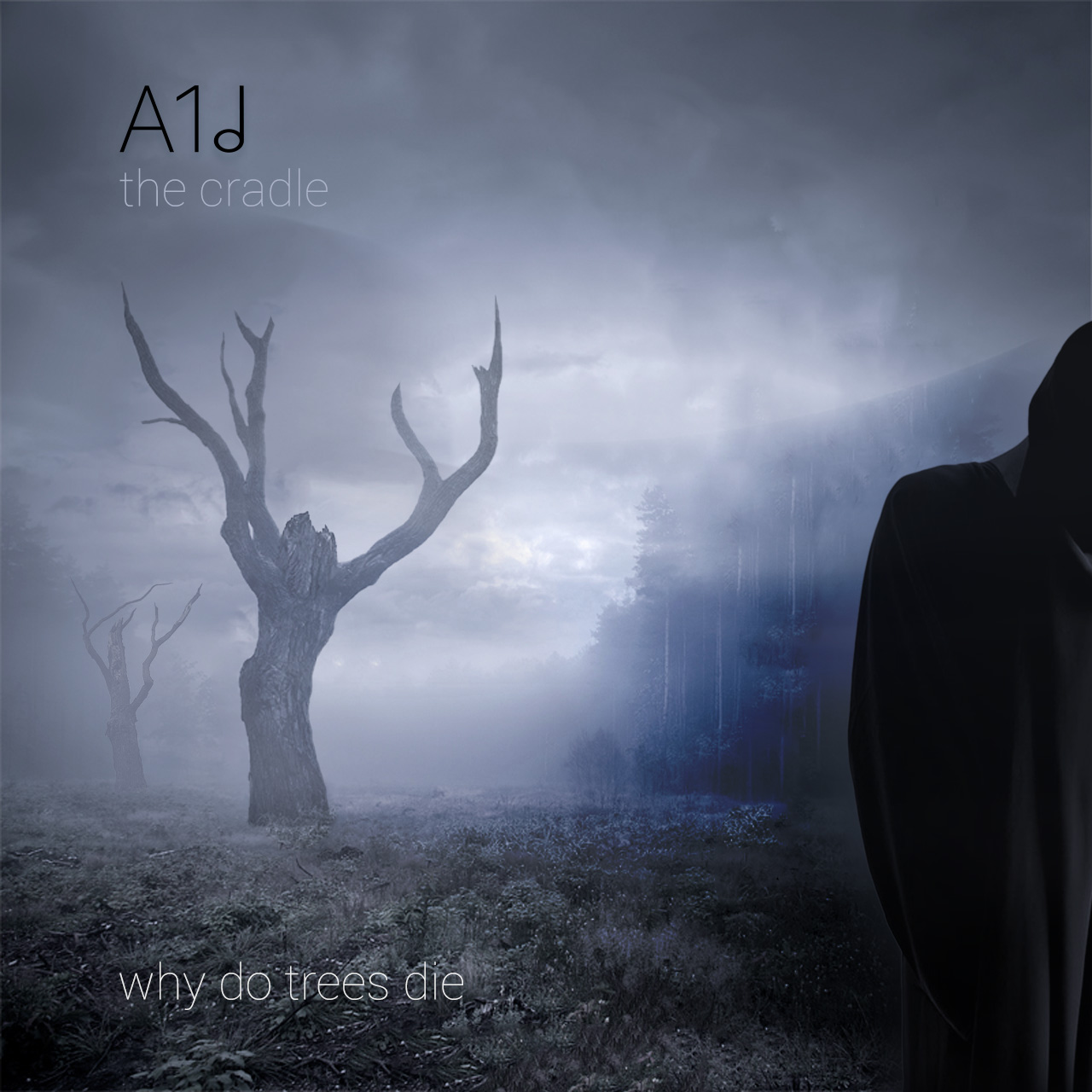 The Cradle